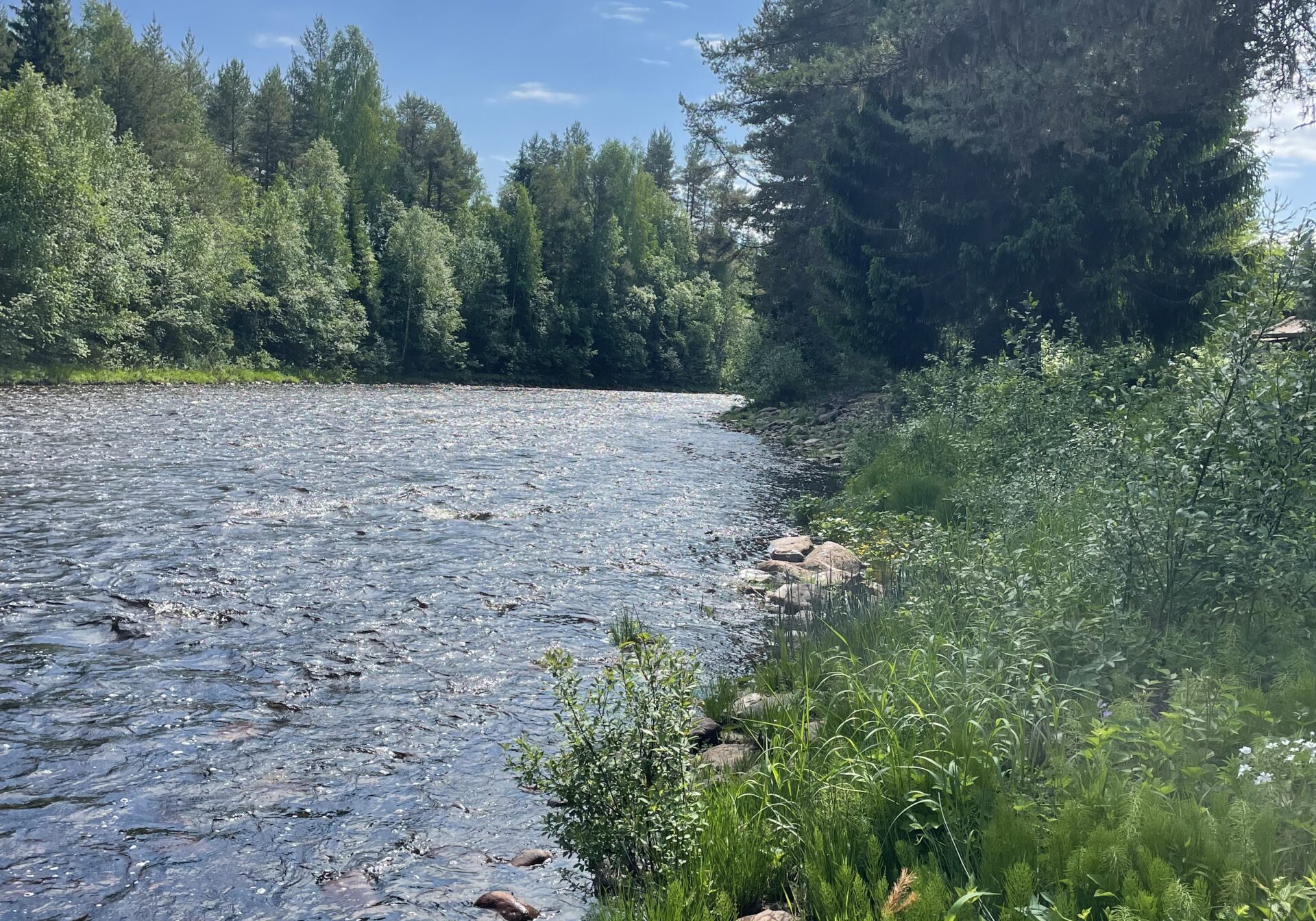 Hansjö i Orsa ligger naturskönt